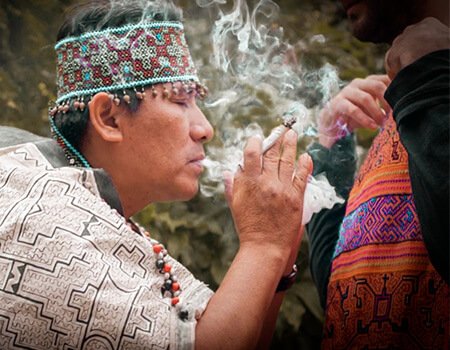 Naturaleza circundante